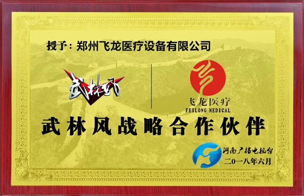 飛龍醫(yī)療外星艙走進(jìn)武林風(fēng)